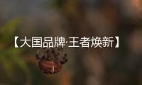 【大国品牌·王者焕新】新工艺	、新展示�	、新政策
