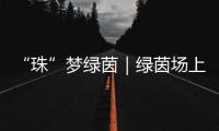 “珠”梦绿茵｜绿茵场上	，向阳花开——平沙实小足球小将的汗水与梦想