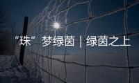 “珠”梦绿茵｜绿茵之上：金湾区如何打造足球发展生态链？