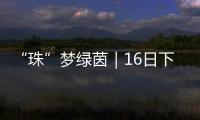 “珠”梦绿茵｜16日下午，珠海市青少年足球锦标赛决赛热血开战
