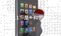 “双11”是一种营销工具
，古典家具企业还需诚信促销