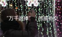 “万千追捧”，熊猫外交背后