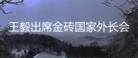 王毅出席金砖国家外长会晤