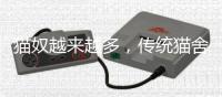 猫奴越来越多，传统猫舍却开不下去了	
？