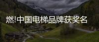 燃!中国电梯品牌获奖名单揭晓
，佳登曼电梯上榜