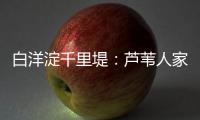 白洋淀千里堤	：芦苇人家的今昔