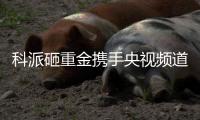 科派砸重金携手央视频道，厨卫市场再掀波澜