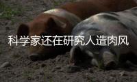 科学家还在研究人造肉风味，人造肉企业已经撑不下去了