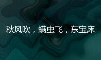 秋风吹	�，螨虫飞，东宝床垫让你免受螨虫干扰