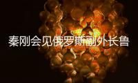 秦刚会见俄罗斯副外长鲁登科