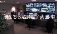 细菌怎么治肿瘤？我国科学家首次揭示关键原理