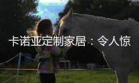 卡诺亚定制家居：令人惊艳的玄关 是家的起点