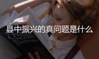 县中振兴的真问题是什么
？