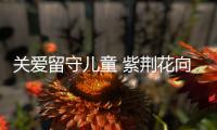 关爱留守儿童 紫荆花向油工家庭传递关爱