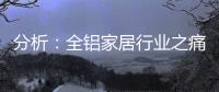 分析：全铝家居行业之痛