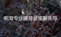 前海专业服务业集聚先导区