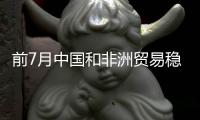 前7月中国和非洲贸易稳步增长
