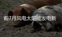 前7月风电太阳能发电新增装机超1.2亿千瓦