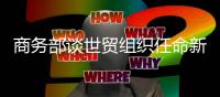 商务部谈世贸组织任命新任总干事：众望所归