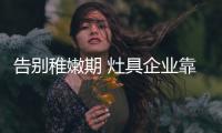 告别稚嫩期 灶具企业靠产品和服务久立不败