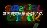 基因研究显示蝴蝶约1亿年前诞生于北美洲