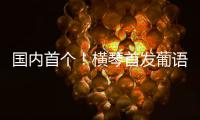 国内首个！横琴首发葡语大模型