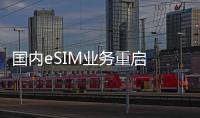 国内eSIM业务重启 华为Mate XT或迭代无卡版本