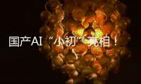 国产AI“小初”亮相
！智力媲美人类可自动学习