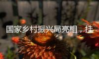 国家乡村振兴局亮相，挂上这块牌子意味着什么？
