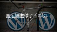 国足被进球了
！0比1