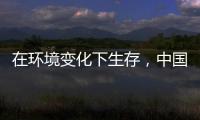 在环境变化下生存，中国十大管业品牌以最快的速度做调整