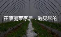 在康丽莱家居�，遇见您的专属床垫