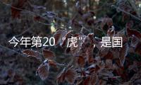 今年第20“虎”，是国家林草局组建以来落马首“虎”