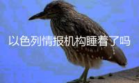 以色列情报机构睡着了吗
？