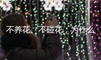 不养花、不碰花，为什么还会花粉过敏	？