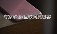 专家解读/互联网具包容特质 互联互通是必须