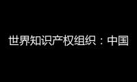 世界知识产权组织：中国是国际专利申请最大来源国