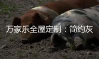 万家乐全屋定制	：简约灰度空间 彰显华丽的气质