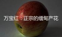 万宝红：正宗的缅甸产花梨木肯定是大果紫檀