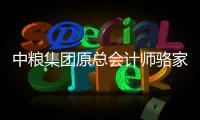 中粮集团原总会计师骆家駹被公诉 曾被指低价处置国有资产