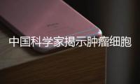 中国科学家揭示肿瘤细胞对两大供能方式的调控机制