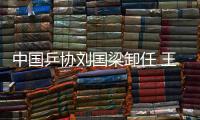 中国乒协刘国梁卸任 王励勤“接棒”