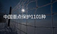 中国重点保护1101种野生植物 猕猴桃资源首次被重点保护
