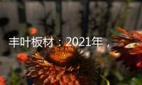丰叶板材：2021年，我们想要这样!