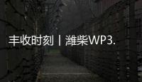 丰收时刻丨潍柴WP3.6N勇当先
，油菜丰收捷报传
