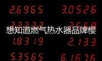 想知道燃气热水器品牌樱花价格实惠吗?