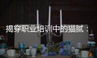 揭穿职业培训中的猫腻	：靠训吃训肆意敛财