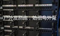户外友别跑，始祖鸟外骨骼裤来一条？