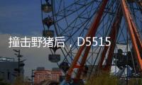 撞击野猪后	�，D5515动车机械师的致命检修