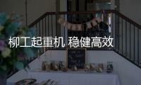 柳工起重机 稳健高效 「粽」横四海